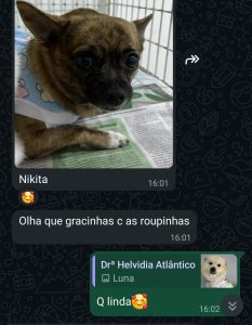 WhatsApp Image 2026-02-20 at 09.28.51